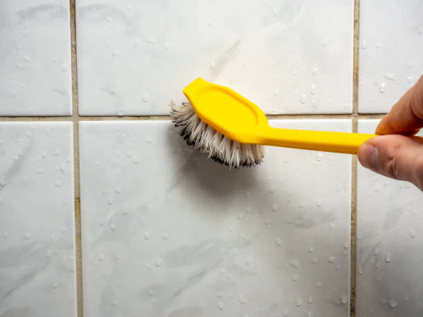 Best Post-Remediation Services in Parkville, MD