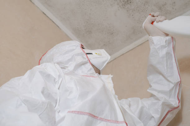 Best Crawl Space Mold Remediation in Parkville, MD