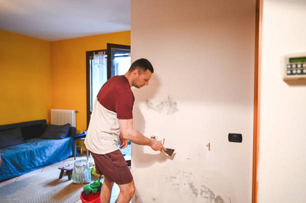 Best Bathroom Mold Remediation in Parkville, MD